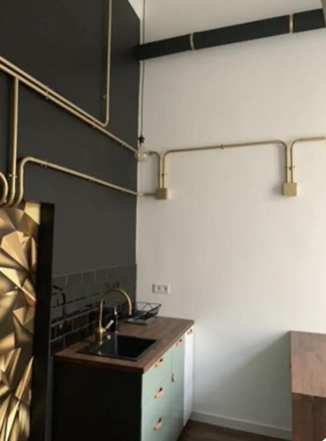 Award Winning Luxury Studio In The Heart Of Budapest In Historical Building エクステリア 写真